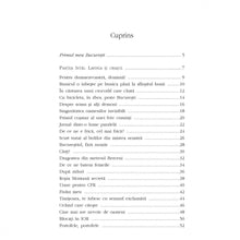 Încarcă imaginea în vizualizatorul Galerie, Terasa fericirii - Lavinia Balulescu
