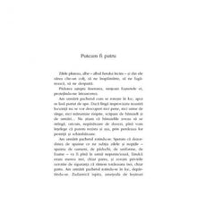 Încarcă imaginea în vizualizatorul Galerie, Variante la un autoportret - Norman Manea
