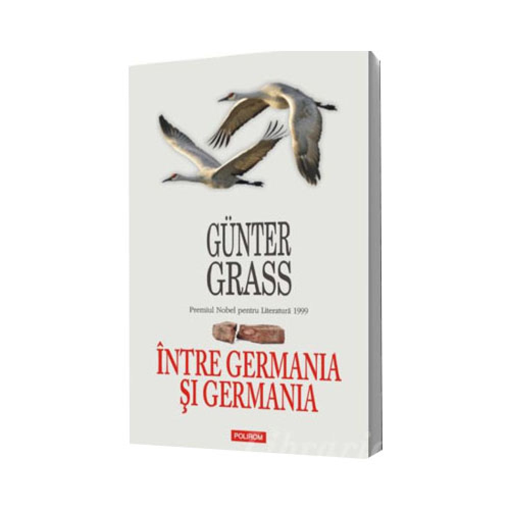Intre Germania si Germania - Gunter Grass