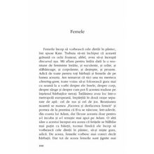 Încarcă imaginea în vizualizatorul Galerie, Nebulon - Ruxandra Cesereanu
