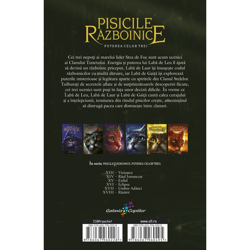 Pisicile Razboinice - Puterea celor trei. Cartea a XIV-a: Raul intunecat, Erin Hunter