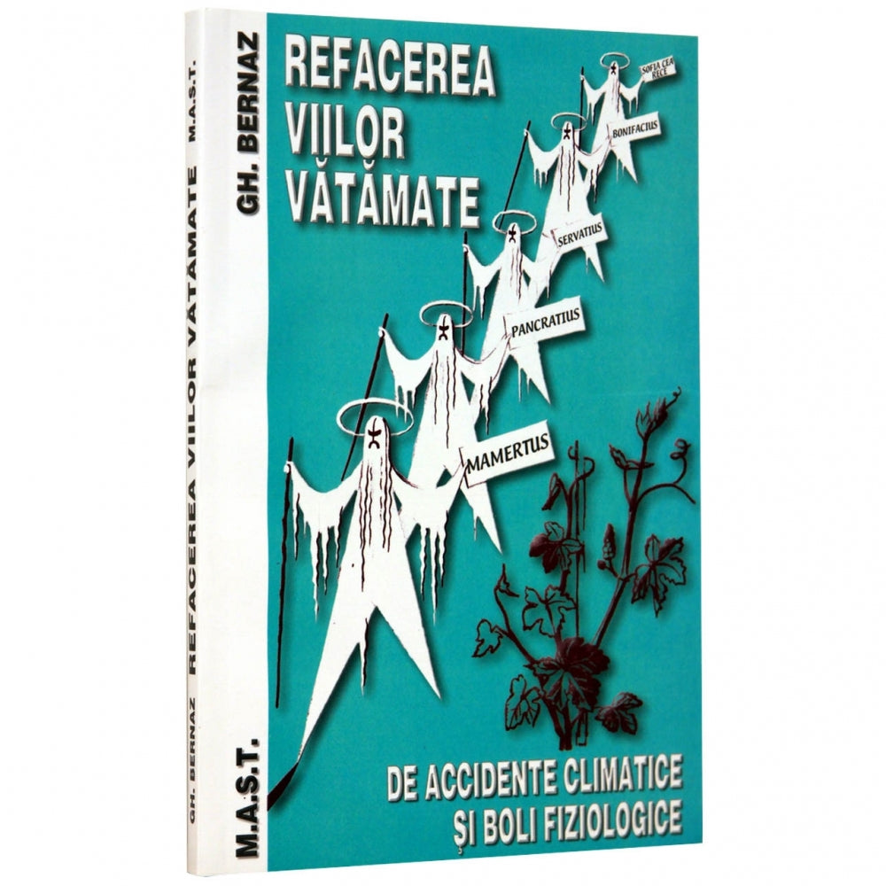 Refacerea Viilor Vatamate