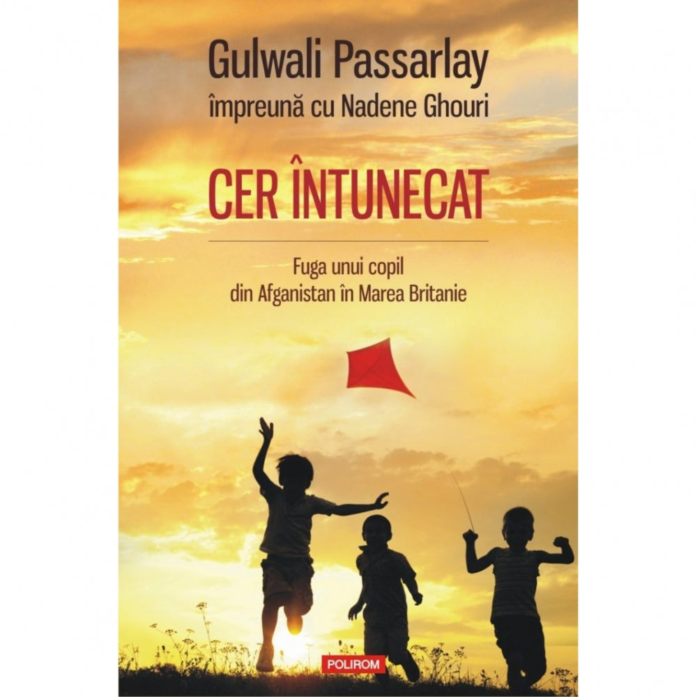 Cer intunecat. Fuga unui copil din Afganistan in Marea Britanie - Gulwali Passarlay impreuna cu Nadene Ghouri