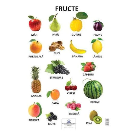 Plansa Fructe