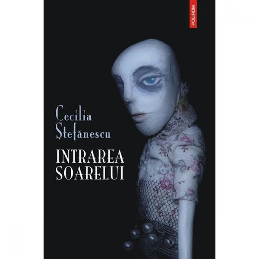 Intrarea soarelui - Cecilia Stefanescu