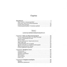 Încarcă imaginea în vizualizatorul Galerie, Ecranul global - Gilles Lipovetsky, Jean Serroy
