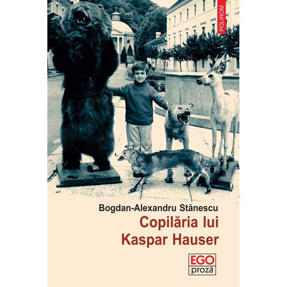 Copilaria lui Kaspar Hauser - Bogdan-Alexandru Stanescu