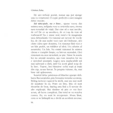 Încarcă imaginea în vizualizatorul Galerie, Dupa plans - Cristian Fulas, ed. 2019
