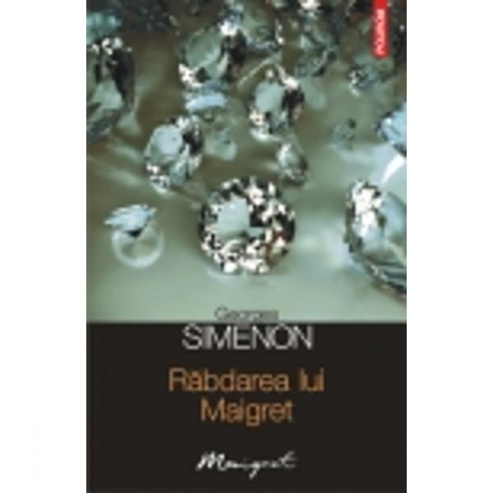 Rabdarea lui Maigret - Georges Simenon