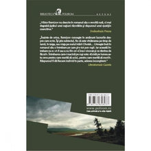 Încarcă imaginea în vizualizatorul Galerie, Cenusa si tarana - Victor Remizov
