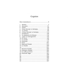 Încarcă imaginea în vizualizatorul Galerie, Castelul - Franz Kafka
