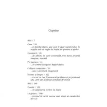 Încarcă imaginea în vizualizatorul Galerie, Atrium - Norman Manea
