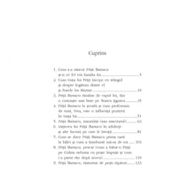 Încarcă imaginea în vizualizatorul Galerie, Ciudata si induiosatoarea viata a lui Prita Barsacu - Iulian Bocai
