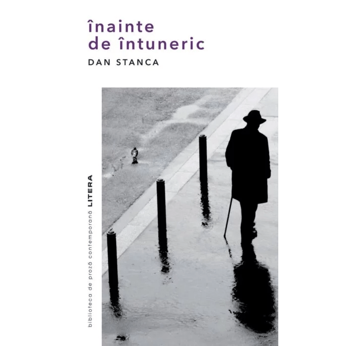 Inainte de intuneric, Dan Stanca