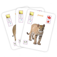 Încarcă imaginea în vizualizatorul Galerie, Carti De Joc Educative - Animalele
