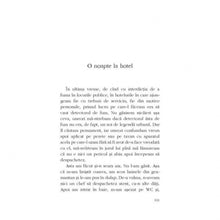 Încarcă imaginea în vizualizatorul Galerie, Celelalte povesti de dragoste - Lucian Dan Teodorovici
