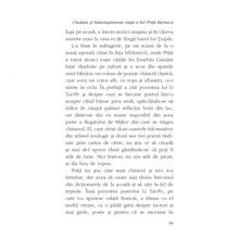 Încarcă imaginea în vizualizatorul Galerie, Ciudata si induiosatoarea viata a lui Prita Barsacu - Iulian Bocai
