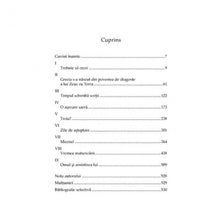 Încarcă imaginea în vizualizatorul Galerie, Comoara grecilor - Irving Stone
