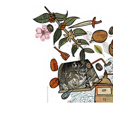 Încarcă imaginea în vizualizatorul Galerie, Povestea Cafelei Turcesti, M. Sabri Koz, Kemalettin Kuzucu
