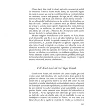 Încarcă imaginea în vizualizatorul Galerie, Alte culori - Orhan Pamuk, editia 2019
