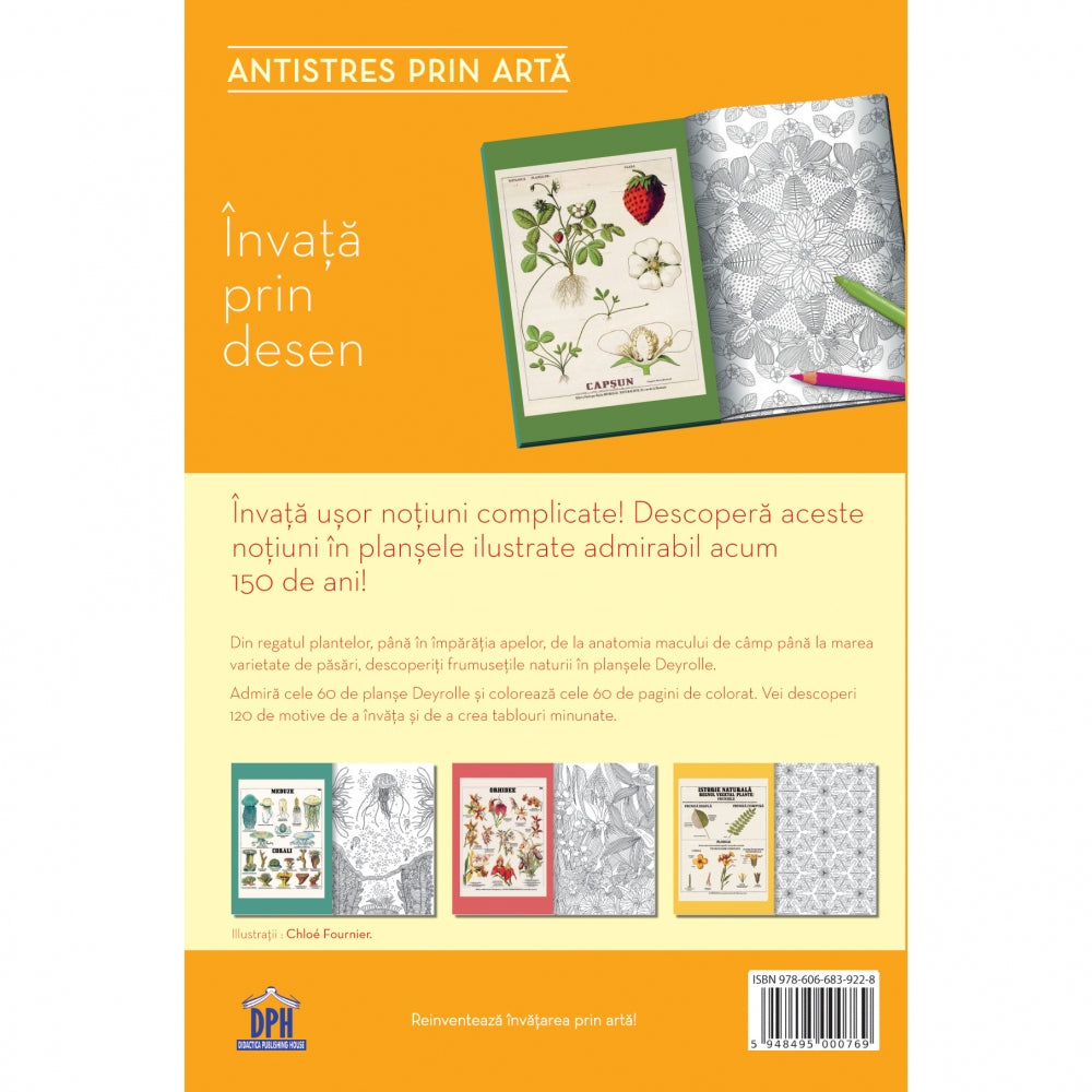 Invata Prin Desen - Antistres Prin Arta (Carte De Colorat), Playbac