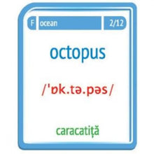 Încarcă imaginea în vizualizatorul Galerie, Animale - Invat limba engleza
