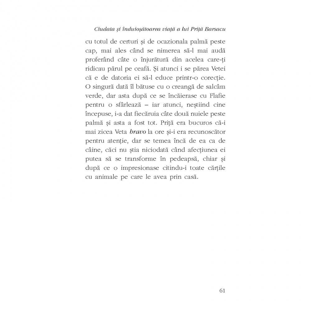 Ciudata si induiosatoarea viata a lui Prita Barsacu - Iulian Bocai