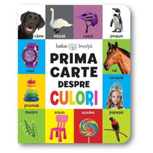 Încarcă imaginea în vizualizatorul Galerie, Prima carte despre culori. Bebe invata
