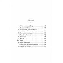 Încarcă imaginea în vizualizatorul Galerie, Spinzuratul De La Saint-Pholien - Georges Simenon
