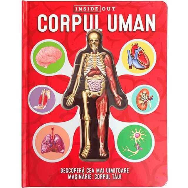 Corpul Uman ? model 3D, Editura Kreativ