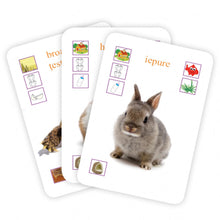 Încarcă imaginea în vizualizatorul Galerie, Carti De Joc Educative - Animalele
