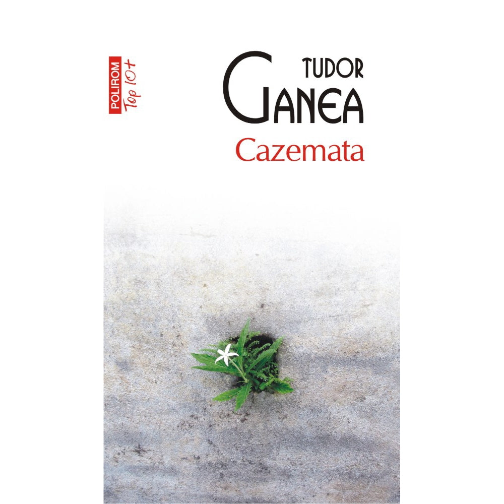 Cazemata, Tudor Ganea