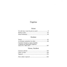 Încarcă imaginea în vizualizatorul Galerie, Orient, occident - Salman Rushdie
