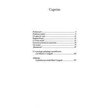 Încarcă imaginea în vizualizatorul Galerie, Investigatii Mateine - Ion?Vianu
