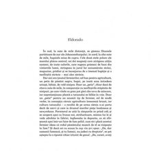 Încarcă imaginea în vizualizatorul Galerie, Povestiri africane - Doris Lessing
