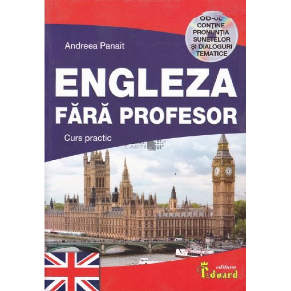Engleza fara Profesor - Andreea Panait
