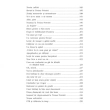 Încarcă imaginea în vizualizatorul Galerie, Terasa fericirii - Lavinia Balulescu
