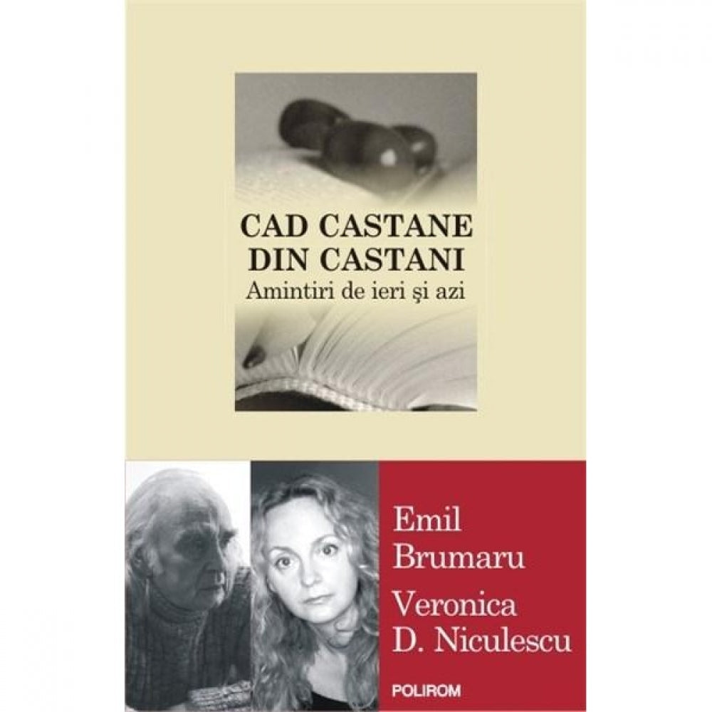 Cad castane din castani. Amintiri - Emil Brumaru, V. D. Niculescu