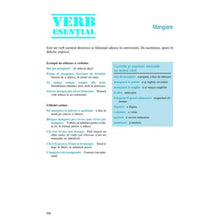 Încarcă imaginea în vizualizatorul Galerie, 501 verbe italiene (+CD) - John Colaneri, Vincent Luciani
