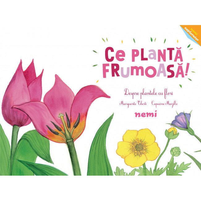 Ce planta frumoasa. Despre plantele cu flori, Capucine Mazille, Marguerite Tiberti