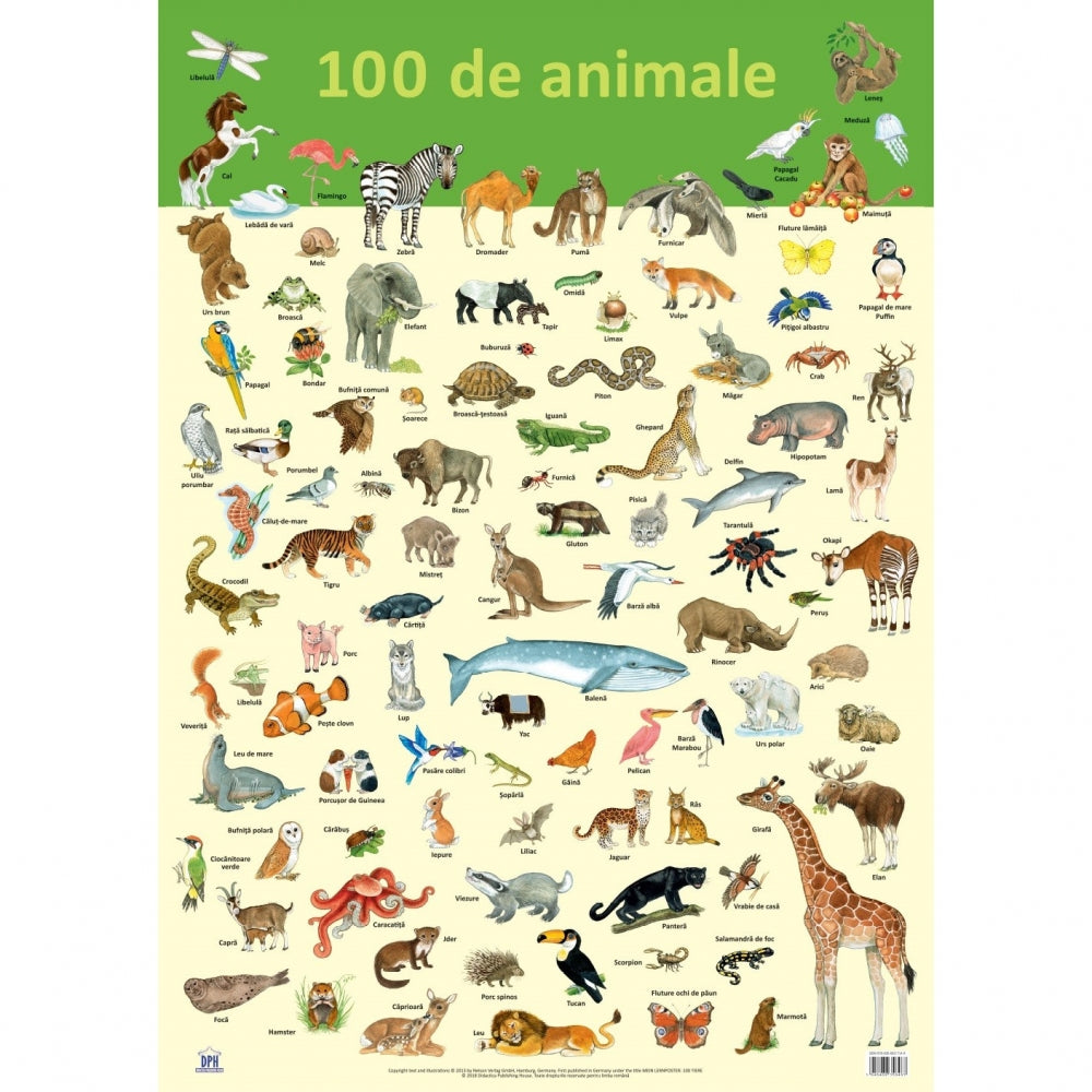 Plansa - 100 de animale - Nelson Verlag