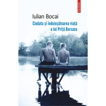 Încarcă imaginea în vizualizatorul Galerie, Ciudata si induiosatoarea viata a lui Prita Barsacu - Iulian Bocai
