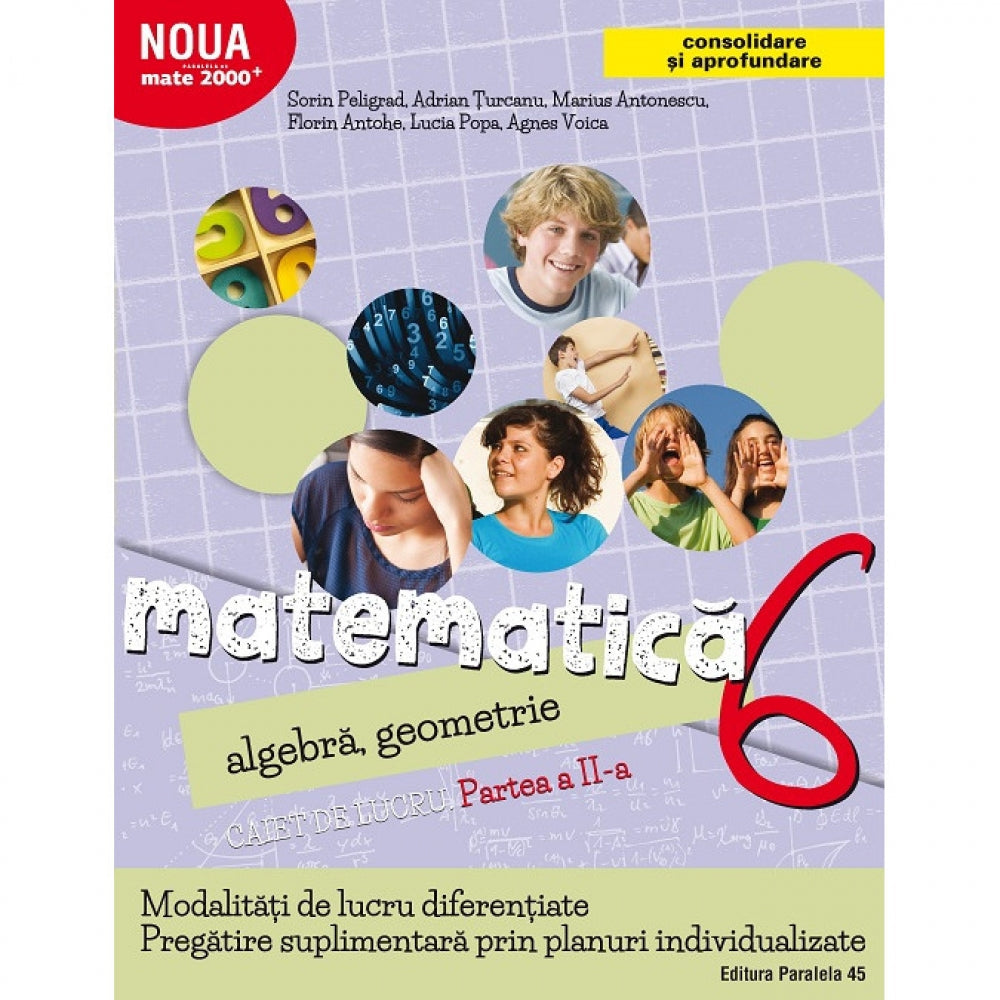 Matematica. Algebra, geometrie. Caiet de lucru. Clasa a VI-a. Partea a II-a. Consolidare