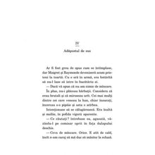 Încarcă imaginea în vizualizatorul Galerie, Maigret se infurie - Georges Simenon
